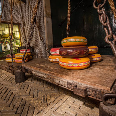 Gouda