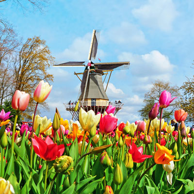 Keukenhof"
