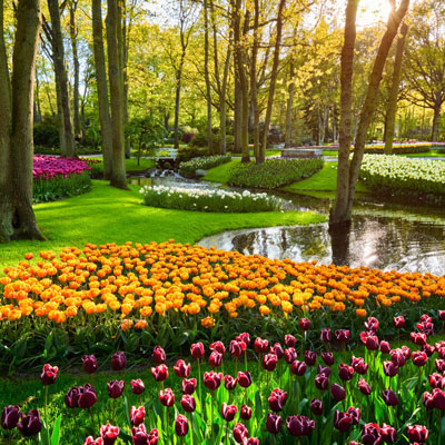 Keukenhof"