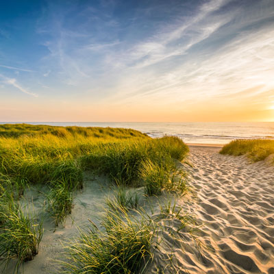 Texel"