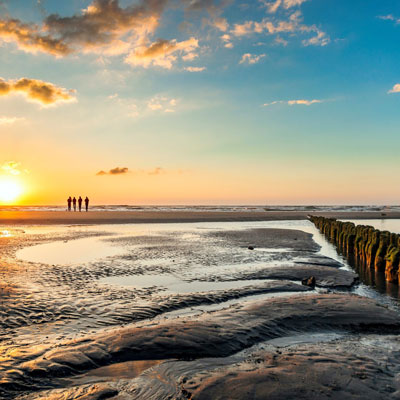Wadden