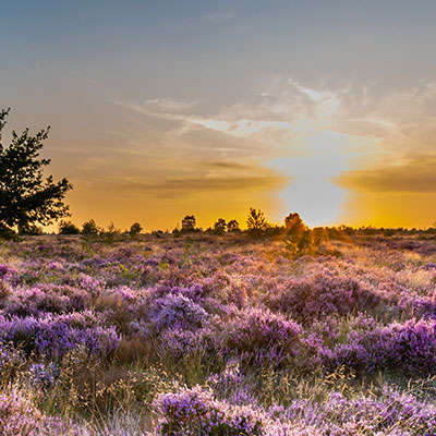 Wonders of Nature