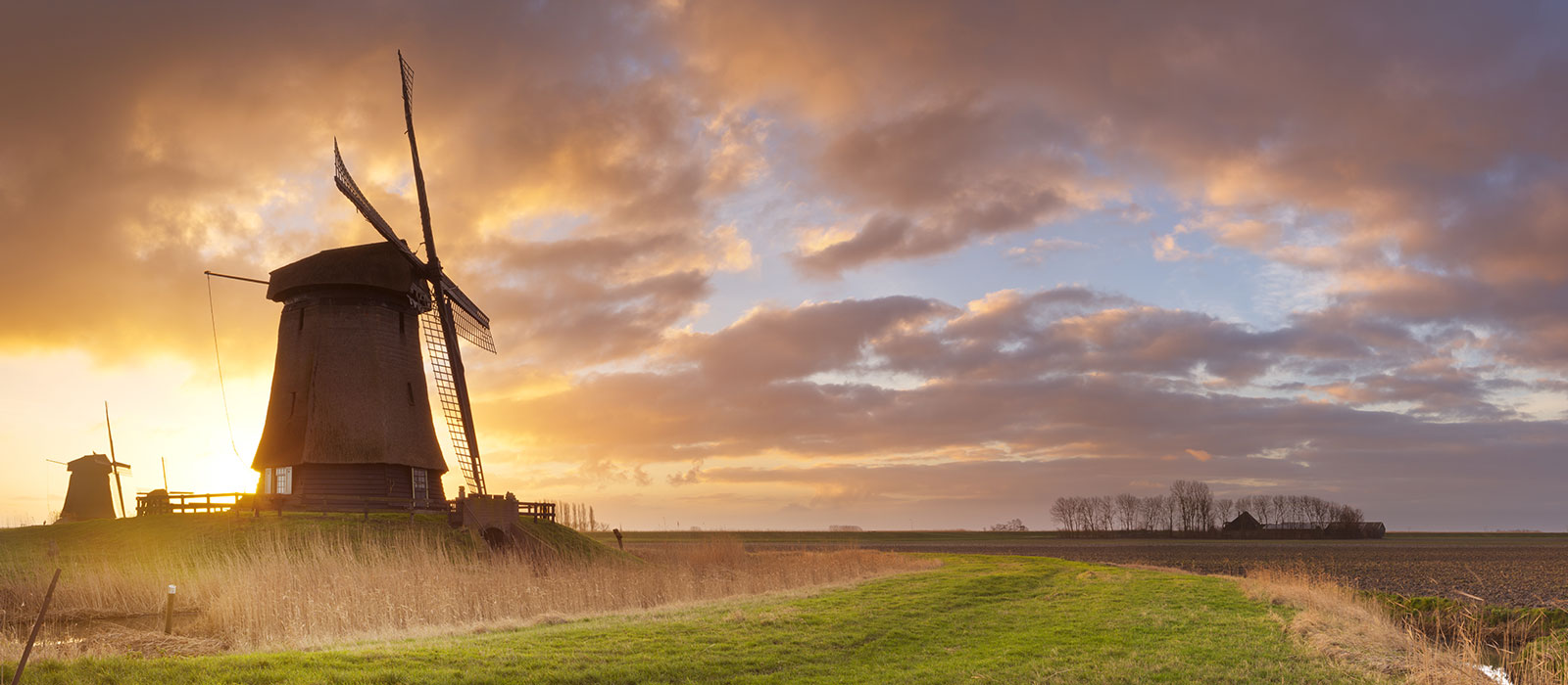 Amazing Windmills